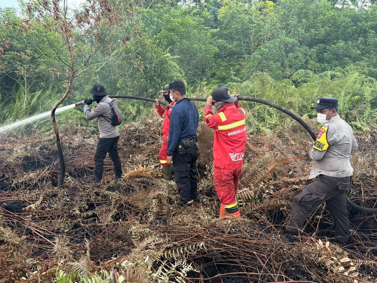 Kebakaran Hutan Riau Meluas Hingga 94 Hektare