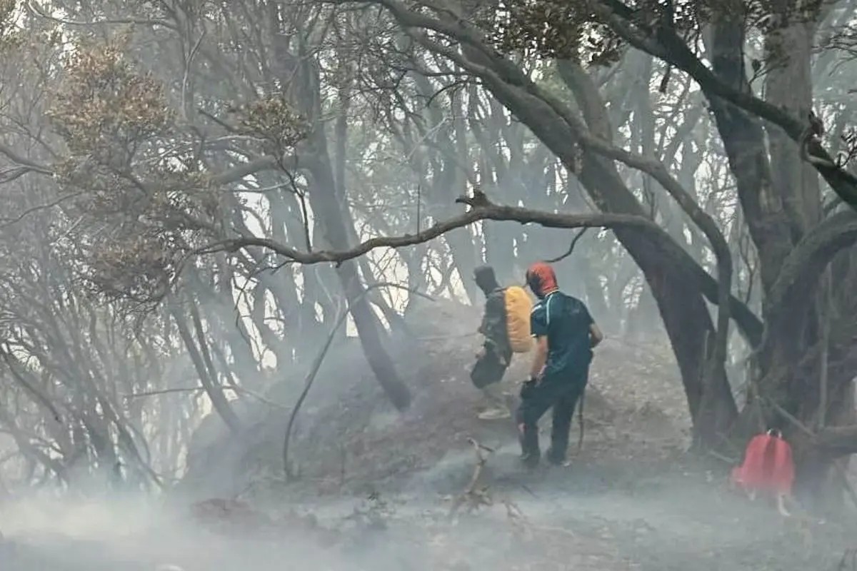 Petugas Padamkan Kebakaran Gunung Gede