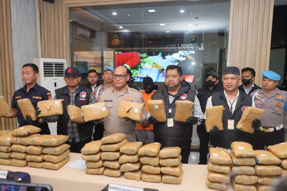 Polisi Gagalkan Peredaran Ganja Di Jakarta