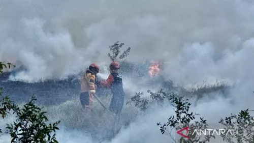 Bareskrim Catat 29 Ribu Hektare Lahan Terbakar